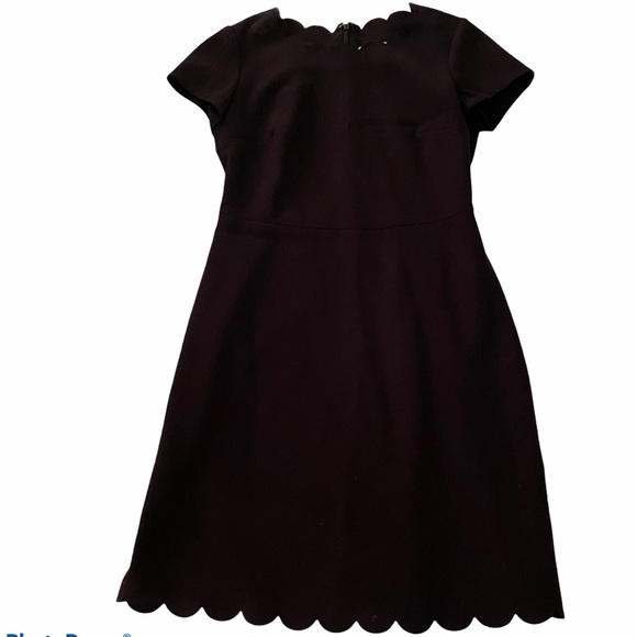 Maison Jules Scalloped Fit & Flare Dress - Picture 6 of 7